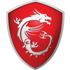 MSI