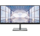 Lenovo L29w-30 LED display 73,7 cm (29") 2560 x 1080 Pixeles Quad HD Negro, Plata