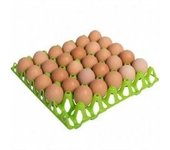 Bandeja Plástica para 30 huevos COPELE