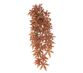 Abutilon Roja de ICA 60 cm: Planta Artificial para Decoración de Terrarios - CPA