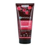 Bálsamo acondicionador 200 ml - Centifolia