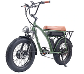[EU DIRECT] GOGOBEST GF750 Bicicleta eléctrica de 17Traducción incorrecta 2000W 20*4.0 pulgadas con neumático gordo, alc