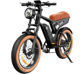 [EU DIRECT] en rueda R6 Bicicleta eléctrica 48V 13AH 250W (pico 900W) motor llanta de 20 pulgadas 70-100KM máxima autono