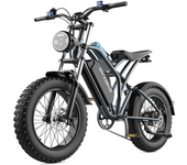 [EU Direct] EKXBIKE T1 Bicicleta eléctrica motor de 1000W batería de 48V 20Ah neumáticos de 20*4.0 pulgadas 100KM de aut