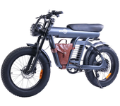 [DIRECTIVA DE LA UE] Bicicleta eléctrica BEZIOR XF006 48V 23.2AH motor de 1200W neumático de 20 pulgadas 70KM de autonom