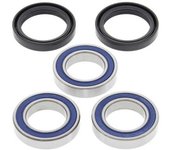 All Balls Kit de rodamientos de rueda trasera -