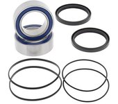 All Balls Kit de rodamientos de rueda delantera Honda -