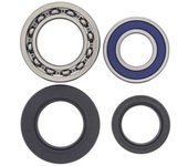 All Balls Kit de rodamientos de rueda trasera Yamaha -