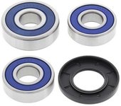 All Balls Kit de rodamientos de rueda trasera -