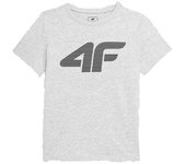 Camiseta 4f gris niño