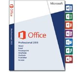 Microsoft Office 2013 Professional