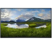 Dell P Series P2425H_WOST 24" 1920x1080 100Hz IPS USB-C ComfortView Flicker Free