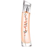 Flower Ikebana Mimosa  40ml
