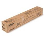Develop TN-221K (A8K31D0) toner negro