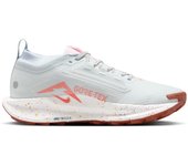 Zapatillas de trail mujer Nike Pegasus 5 Gore-Tex