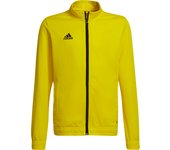 Chaqueta de chándal para niños adidas Entrada 22