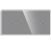 Frontal cristal gris koob 4 botones 2 módulos