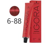 Schwarzkopf - Tinte Permanente Igora Royal 6-88 Rubio Oscuro Rojo Intenso 60 ml 5041 5041 4045787200027 Royal SCHWARZKOPF