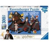 13365, Puzzle