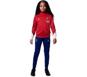 Nike - Chándal PSG Training 2024-2025 Niño, Unisex, Wings Jrdn Red-Blue Void-Phantom-Phantom, M