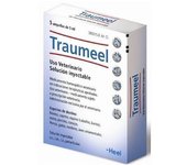 Heel Traumeel
