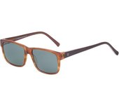 Gafas De Sol Beo S163 C3 Havana