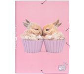 Grupo Erik Carpeta Escolar A4 Studio Pets Rabbits - Carpeta solapas rosa Tapa Dura Infantil con gomas | Material escolar para Vuelta al cole, Para Niños y Niñas