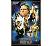 Grupo Erik Editores Poster Star Wars 40 Aniversario Heroes