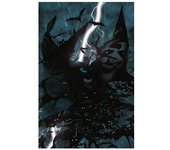 The brave and the bold 01 batman la carta ganadora