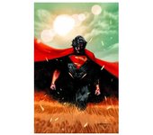 Absolute superman 01