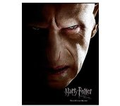 Harry Potter - Impresión en Verre - Cara Voldemort - 30X40 Cm