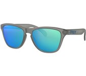 Gafas De Sol Oakley Junior Frogskins Xs Oj 9006 900605 Gris