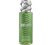 Roberto Cavalli Mist Green spray corporal 250 ml