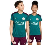 Nike - Camiseta PSG Training 2024-2025 Niño, Unisex, Geode Teal-Bordeaux-Guava Ice, L