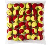 Pelotas de tenis wilson starter red tball 36 pack amarillo
