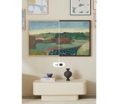 Tv Art Matte - Televisor Smart Tv Qled 4k 55' Con Pantalla Antirreflejos Y Galería De Arte