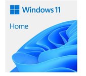 Software Microsoft Windows 11 Home 64 Bits Pt