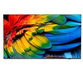 Philips 50hfl6214u 127 Cm (50") 4k Ultra Hd Smart Tv Wifi Antracita 400 Cd / M² Pantalla Flexible
