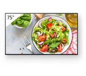 Monitor Sony Pro Bravia 4k Ultra Hd 75" 60 Hz