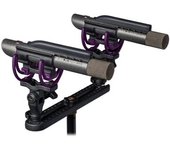 Micrófono De Condensador Gran Diafragma Para Graba Aston Starlight Stereo