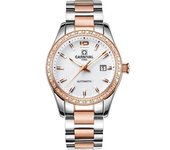 Reloj De Lujo Para Mujer Con Calendario De Diamantes De Imitación Automático Mecánico De Acero Inoxidable Luminoso Impermeable
