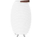 Kooduu Altavoz Bluetooth Inalámbrico Con Lámpara Led Integrada Y Cubitera De Hielo 72cm - Synergy 65s 2.0