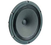 Altavoz High-end Full Range De 20 Cm (8") Visaton