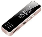 Grabadora De Voz Veanxin Tvs1050 (negra)