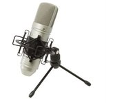 Micrófono Tascam Tm-80