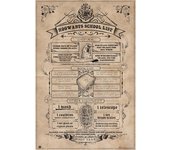 Erik Maxi Póster Harry Potter Lista Escolar de Hogwarts 91.5x61cm