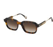 Zadig & Voltaire SZV335 Gafas, Shiny Dark Havana, 53 para Mujer