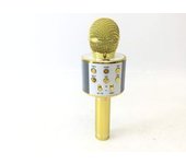 MICROFONO KARAOKE WS-858