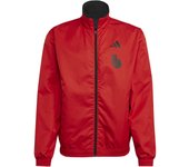 Chaqueta de chándal Anthem Belgique 2022/23
