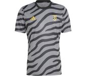 Camiseta de calentamiento Juventus Turin 2023/24